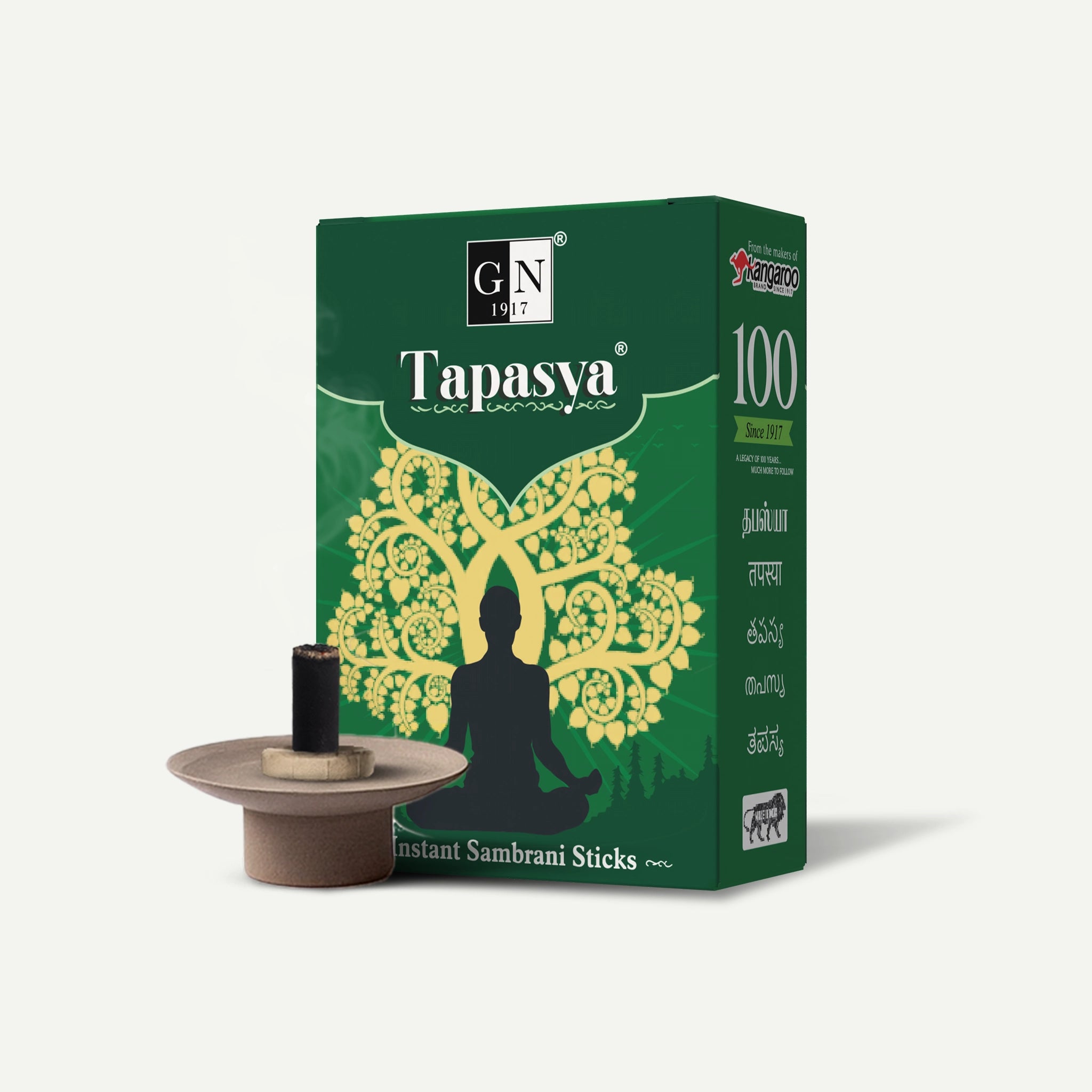 Tapasya Dhoop Sticks